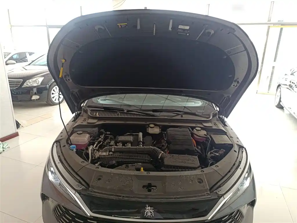 Qin L 2024 DM-i 120KM transcendent model купить на сайте DeffCars