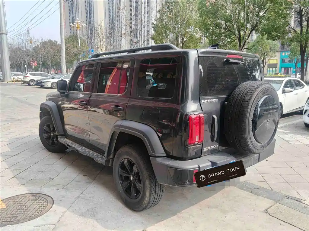 Tank 300 2024 2.0T Conqueror купить на сайте DeffCars