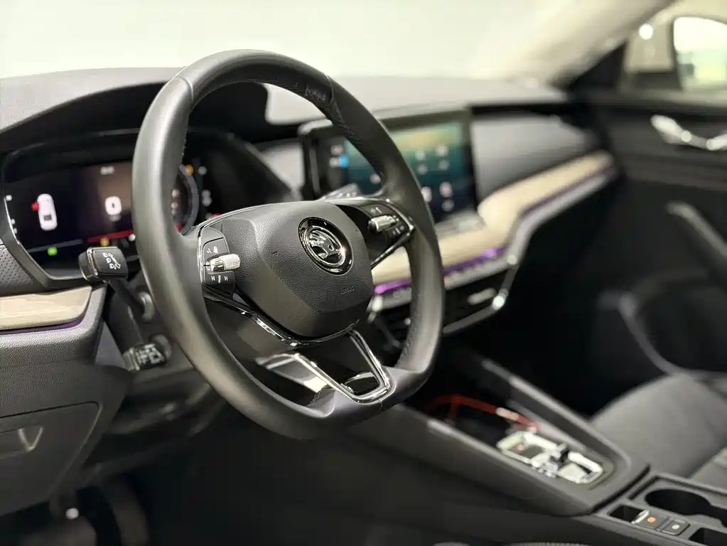 Octavia 2022 Pro TSI280 Luxury Edition купить на сайте DeffCars
