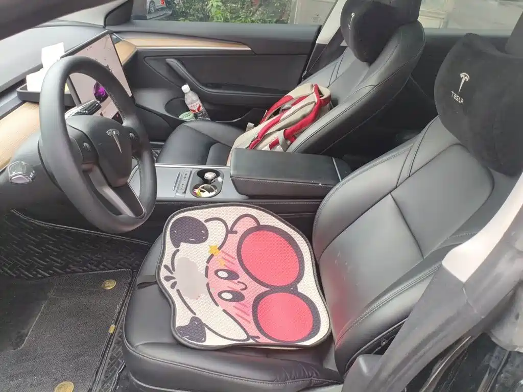 Model 3 2022 rear-wheel drive version купить на сайте DeffCars