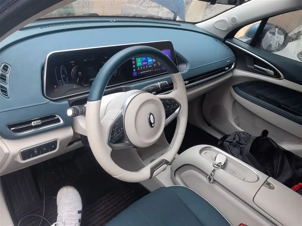 Euler Good Cat 2023 model 401km standard battery life luxury model lithium iron phosphate купить на сайте DeffCars