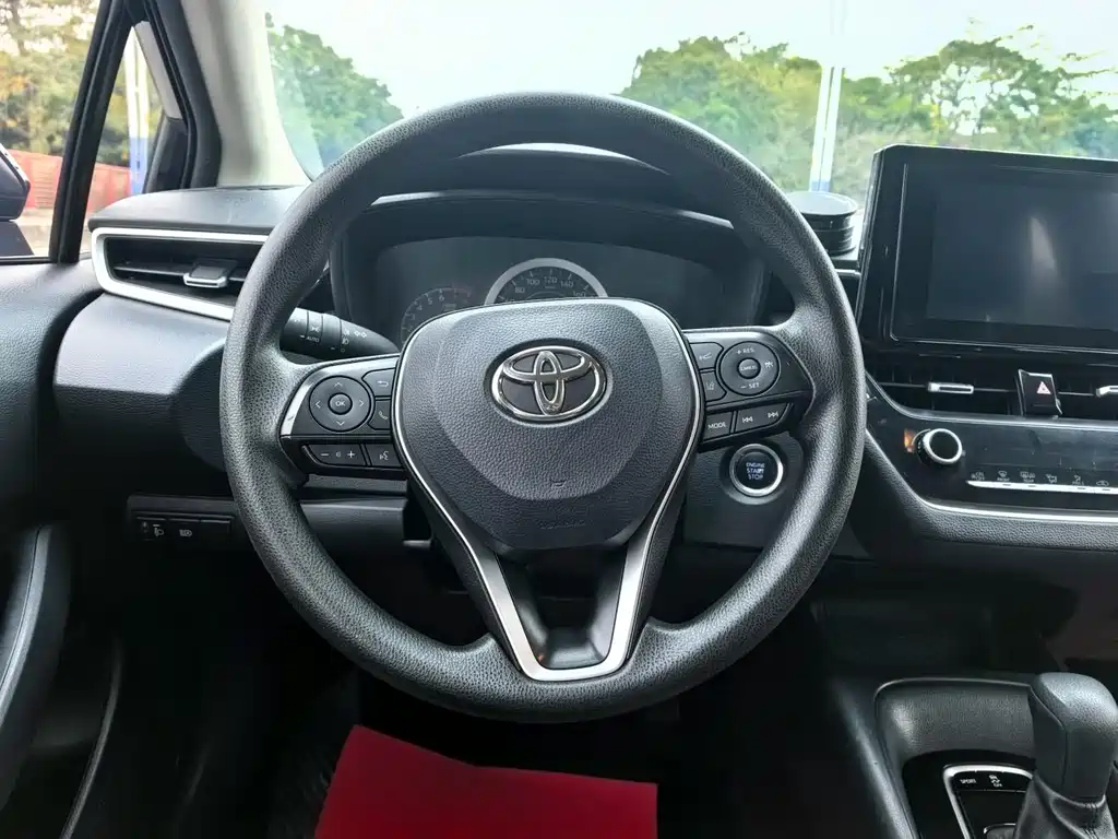 Asia Lion 2021 2.0L Advanced Edition купить на сайте DeffCars