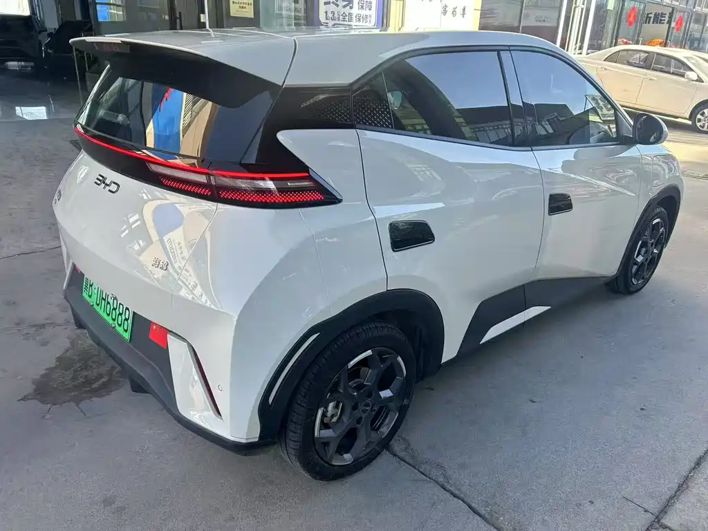 Seagull 2024 Honor Edition 305km Free Edition купить на сайте DeffCars