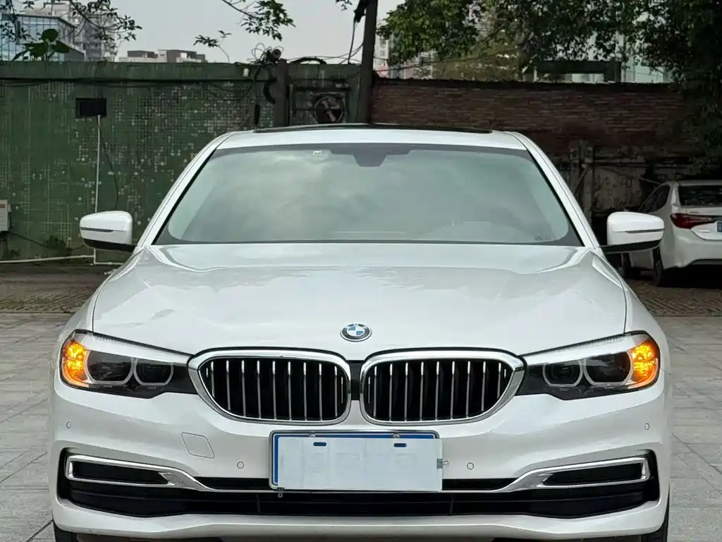 BMW 5 Series 2019 530Li Leading Luxury Package купить на сайте DeffCars