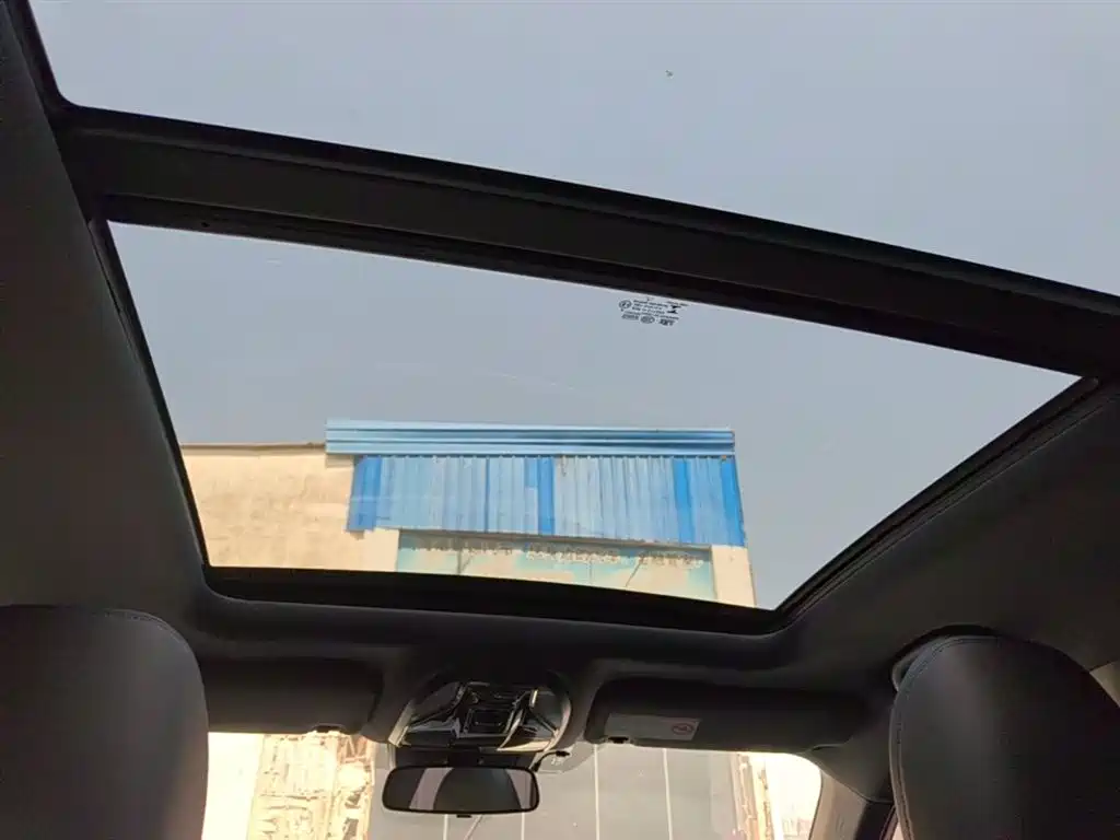 Lingrui 2022 EcoBoost 170 collar type купить на сайте DeffCars