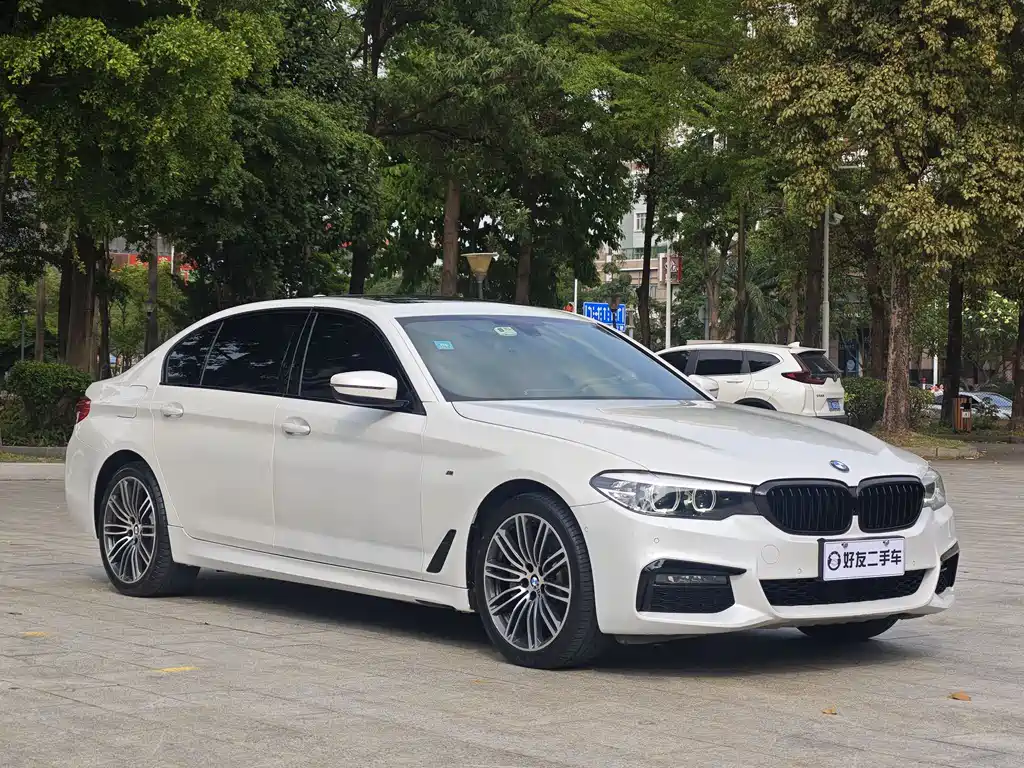 BMW 5 Series 2019 530Li Leading M Sports Package купить на сайте DeffCars