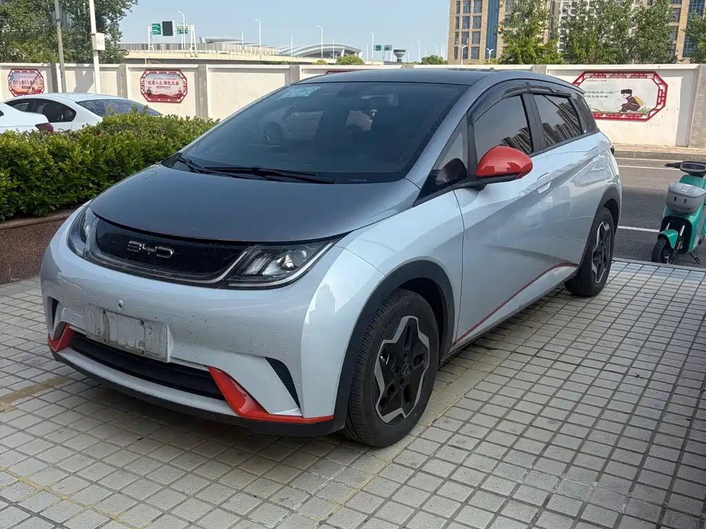 Dolphin 2021 405km Fashion Edition купить на сайте DeffCars