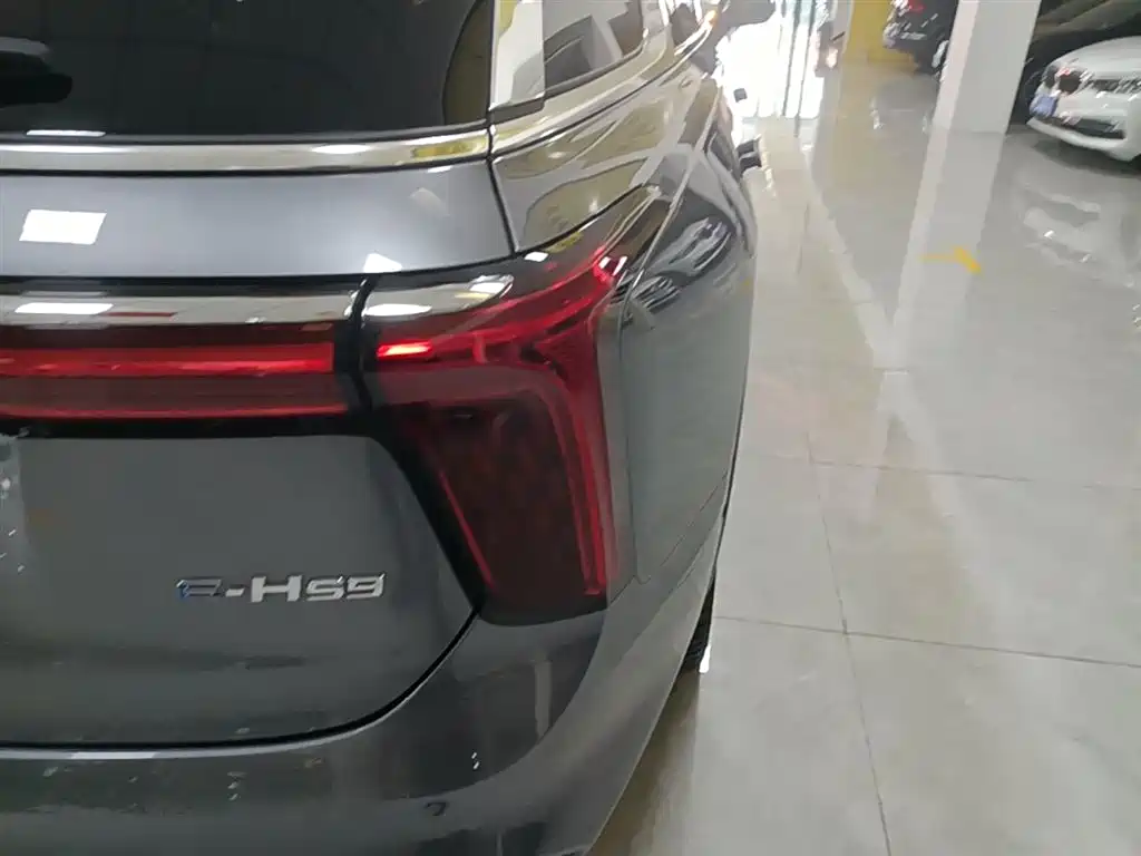 Hongqi E-HS9 2022 model 660km Qichang version six seats купить на сайте DeffCars