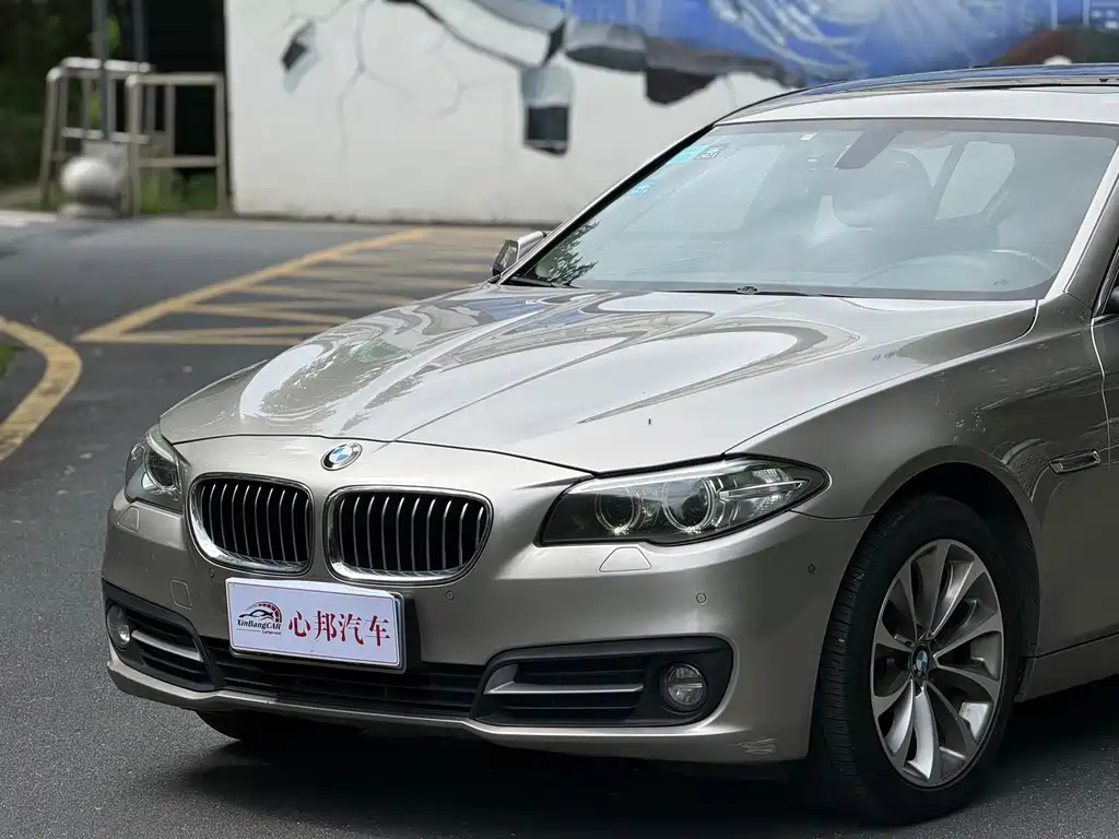 BMW 5 Series 2017 528Li xDrive leading model купить на сайте DeffCars