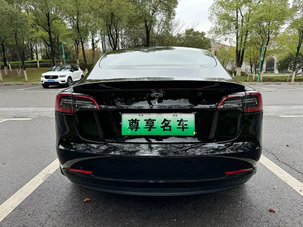 Model 3 2022 rear-wheel drive version купить на сайте DeffCars