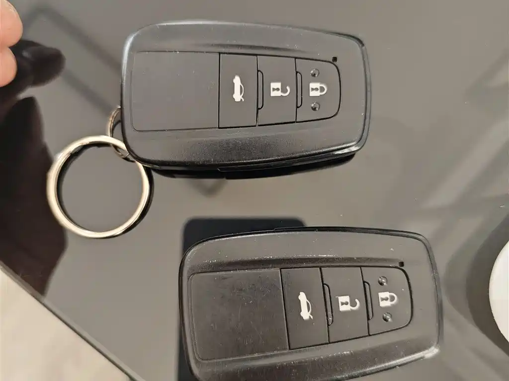 Lingshang 2021 2.0L Deluxe Edition купить на сайте DeffCars