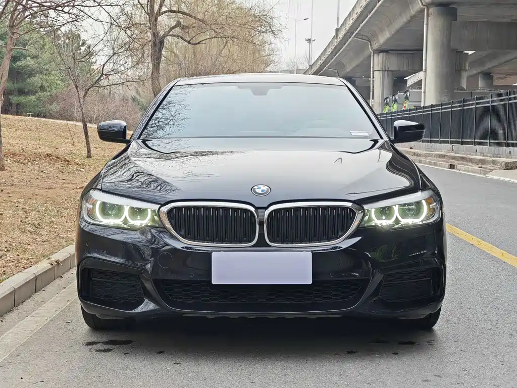 BMW 5 Series 2019 facelift 530Li leading M sports package купить на сайте DeffCars