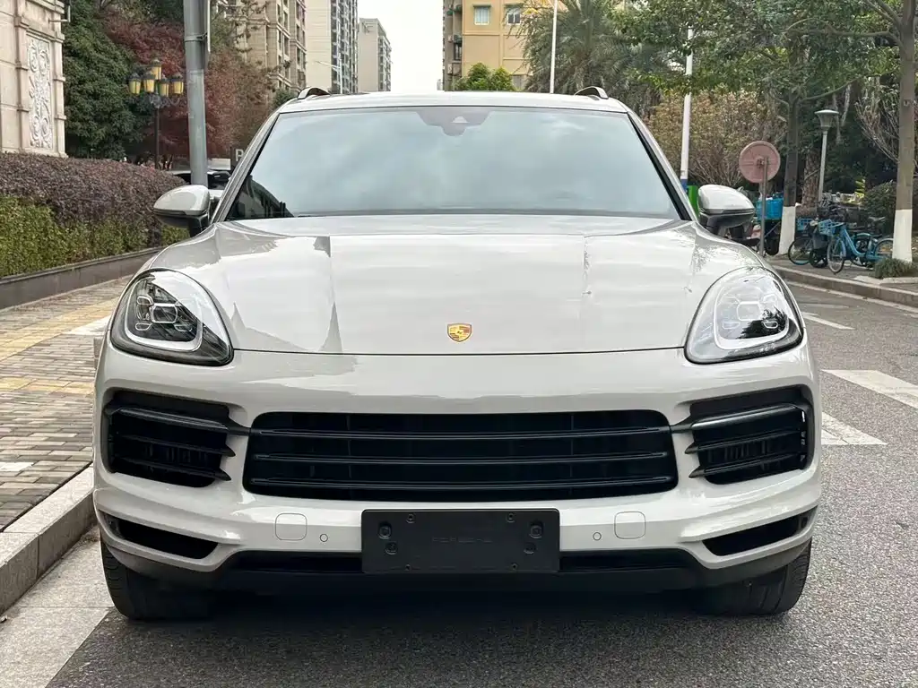 Cayenne 2022 Cayenne 3.0T Platinum Edition купить на сайте DeffCars