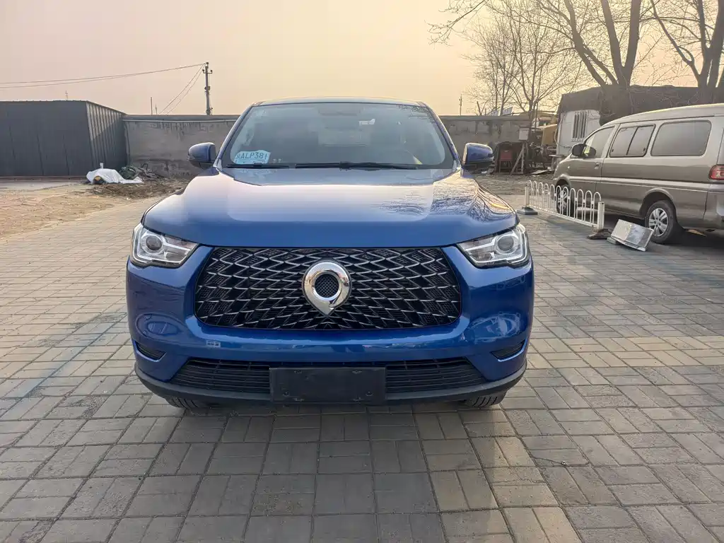 Cannon 2019 2.0T commercial version automatic gasoline two-wheel drive elite long box GW4C20B купить на сайте DeffCars