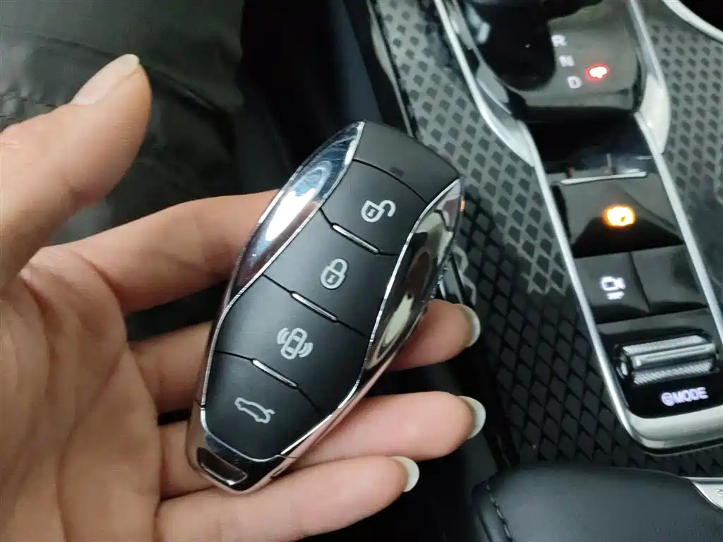 Hongqi HS3 PHEV 2024 115km Jinwei Edition купить на сайте DeffCars