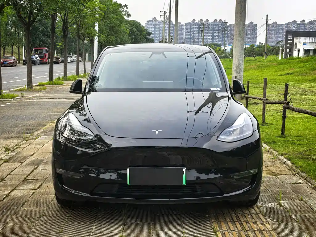 Model Y 2022 rear-wheel drive version купить на сайте DeffCars