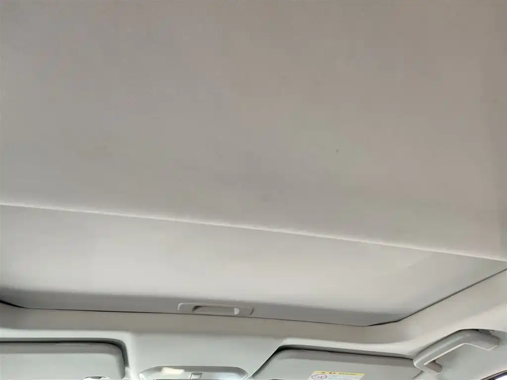 Forex 2019 facelift 1.5L automatic enjoyment type National VI купить на сайте DeffCars