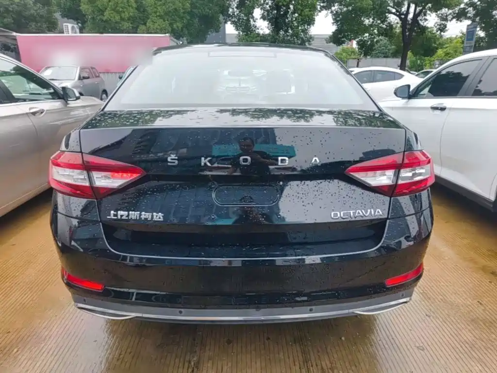 Octavia 2019 TSI230 DSGSenova Zhixing Deluxe Edition China VI купить на сайте DeffCars