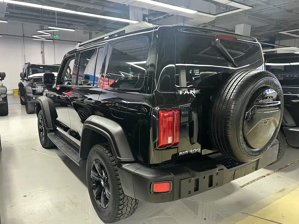 Tank 300 2023 Off-Road Version 2.0T Challenger купить на сайте DeffCars