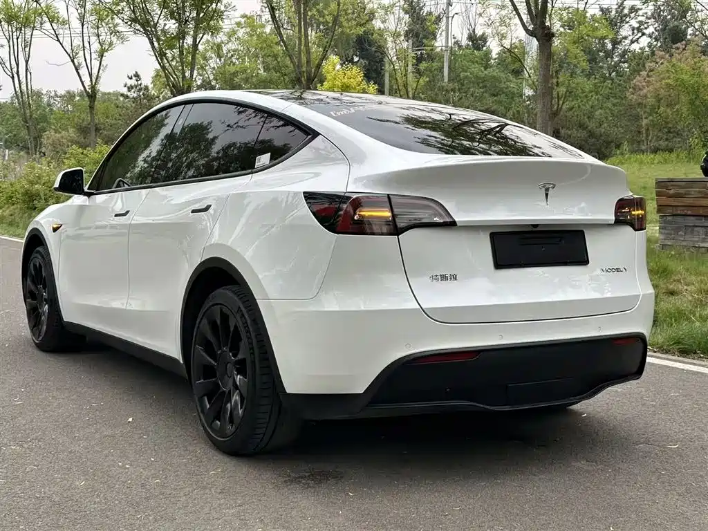 Model Y 2021 long-range all-wheel drive version купить на сайте DeffCars