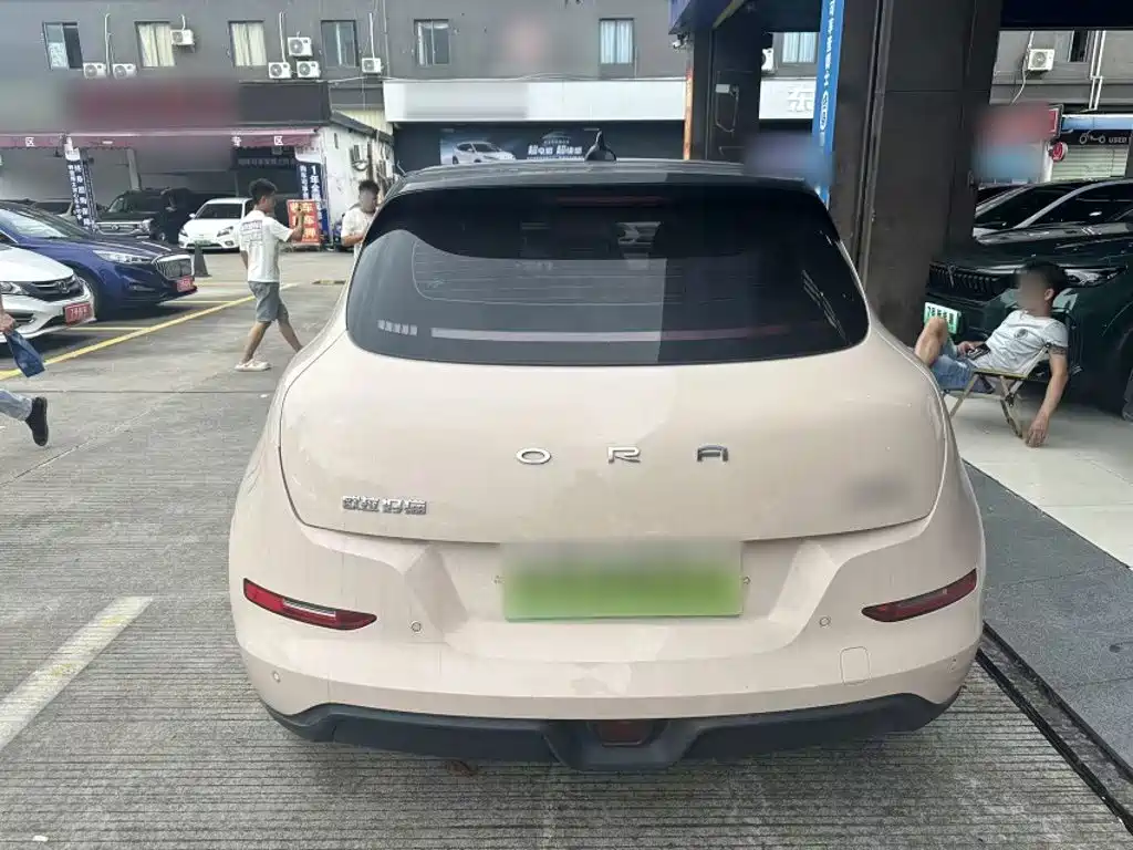 Euler Good Cat 2023 model 401km standard battery life premium type lithium iron phosphate купить на сайте DeffCars