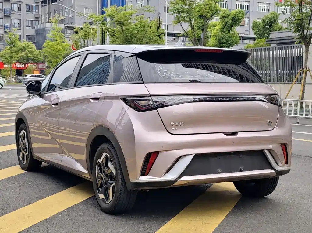 Dolphin 2021 405km fashion version купить на сайте DeffCars