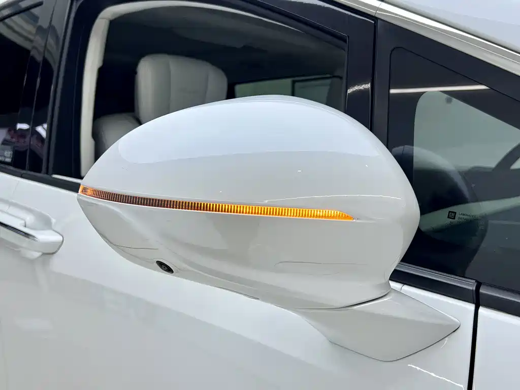 Century 2023 2.0T Six-seater Yuanshi Edition купить на сайте DeffCars