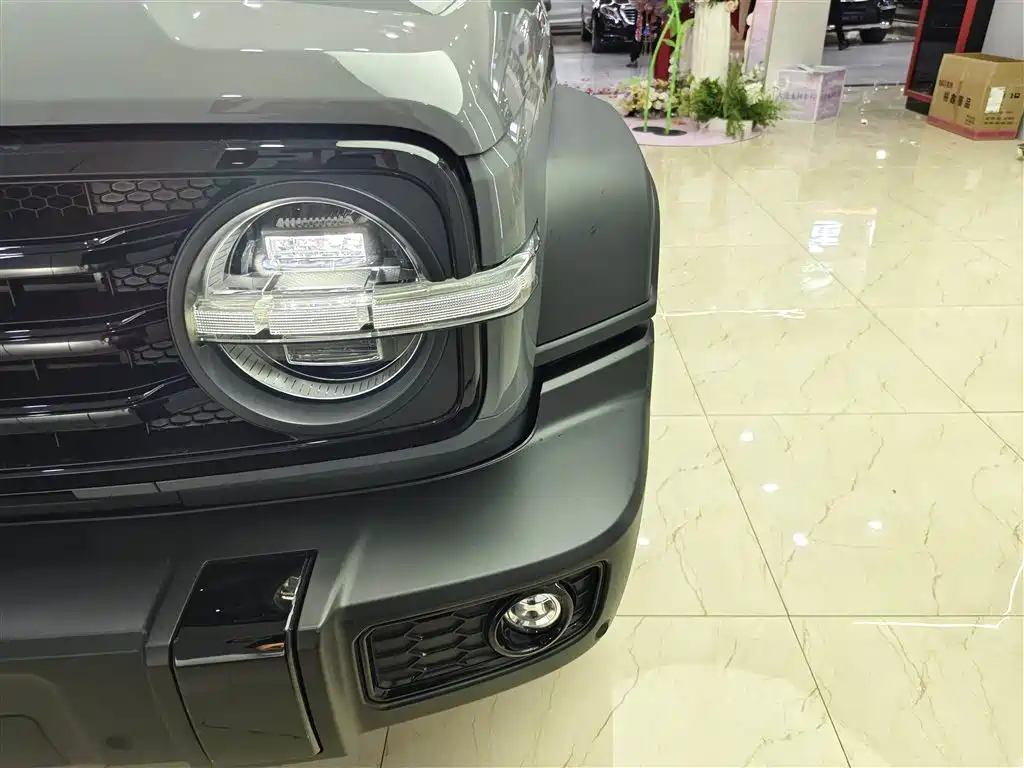 Tank 300 2023 Off-Road Version 2.0T Conqueror купить на сайте DeffCars