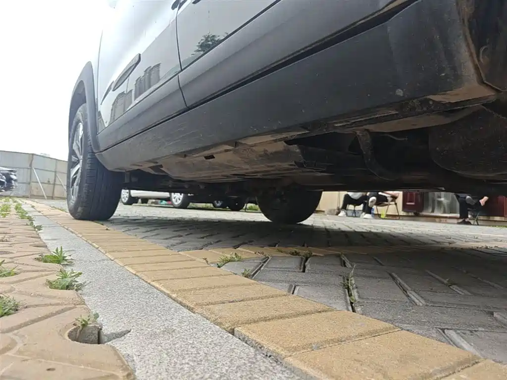 Havaldog 2022 1.5T DCT two-wheel drive Labrador version купить на сайте DeffCars