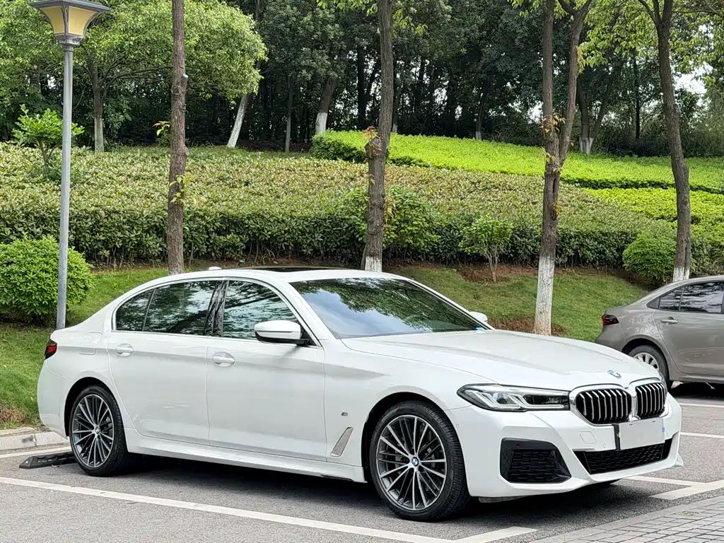 BMW 5 Series 2021 530Li Leading M Sports Package купить на сайте DeffCars