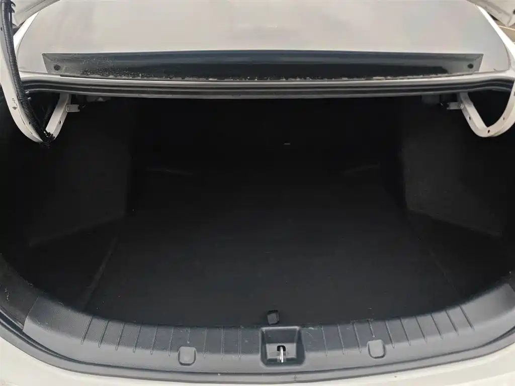 Qin 2019 1.5L automatic premium model купить на сайте DeffCars