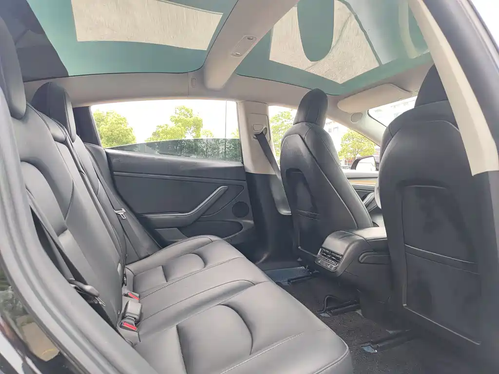 Model 3 2022 rear-wheel drive version купить на сайте DeffCars