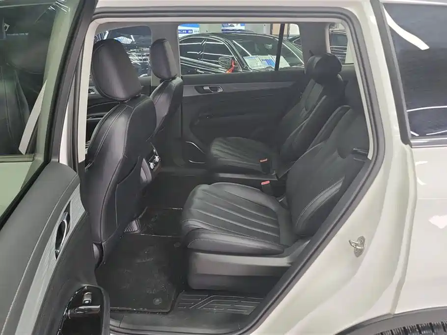 Lingyu 2021 EcoBoost 225 platinum collar type 6 seats купить на сайте DeffCars