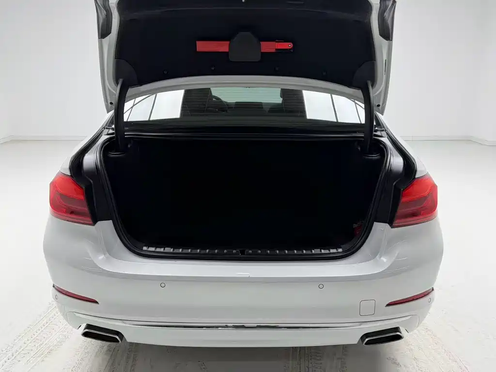 BMW 5 Series 2019 facelift 525Li luxury package купить на сайте DeffCars