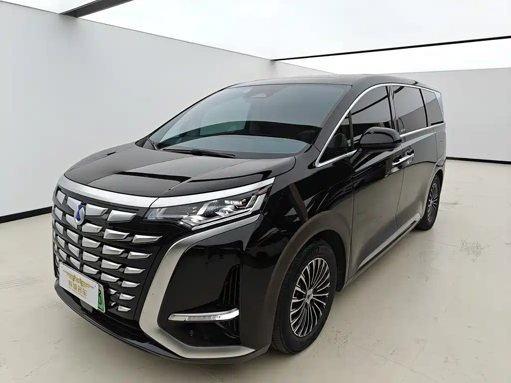 Denza D9 2022 DM-i 1040 Premium Type купить на сайте DeffCars