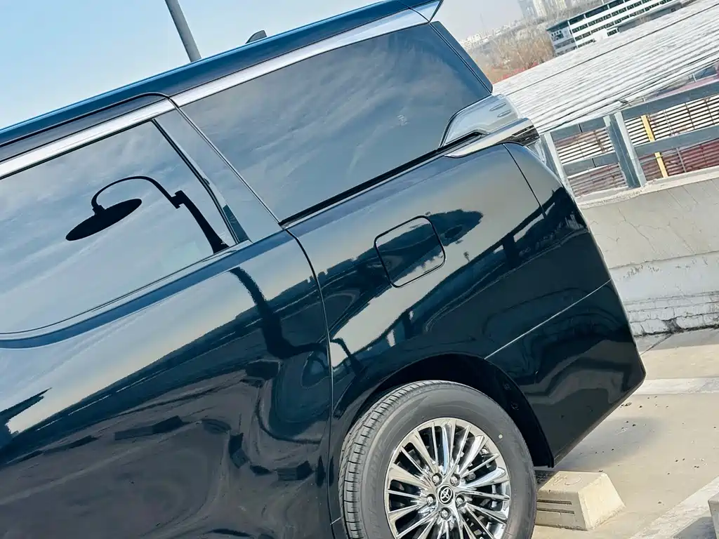 Wilfa 2020 Shuangqing 2.5L Black Gold Limited Edition купить на сайте DeffCars