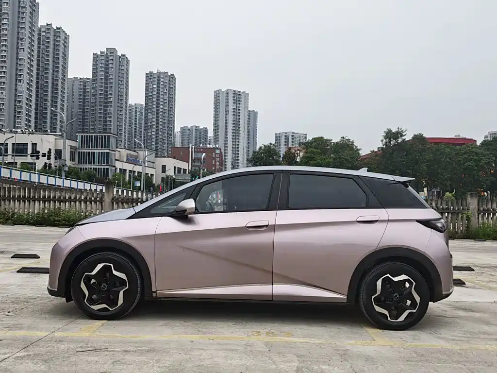 Dolphin 2021 405km Fashion Edition купить на сайте DeffCars