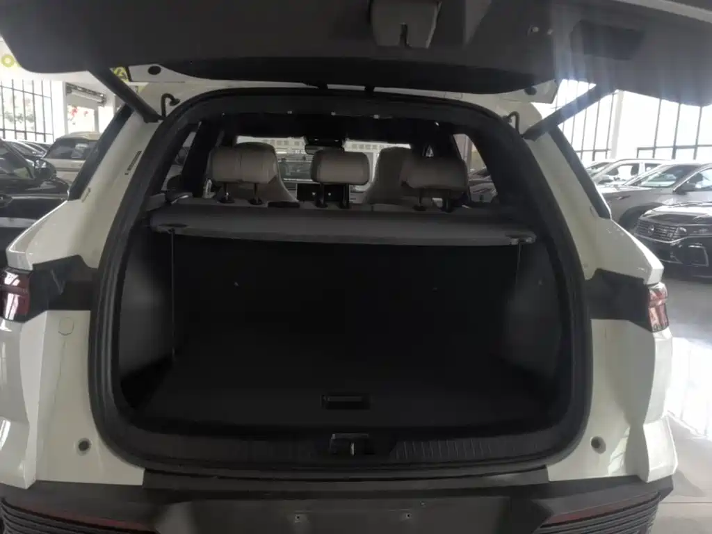 Song Pro New Energy 2024 Honor Edition DM-i 110km Excellent купить на сайте DeffCars