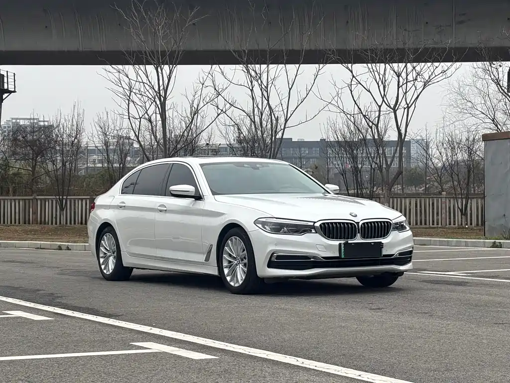 BMW 5 Series New Energy 2020 Mileage Upgraded Version 530Le Luxury Package купить на сайте DeffCars