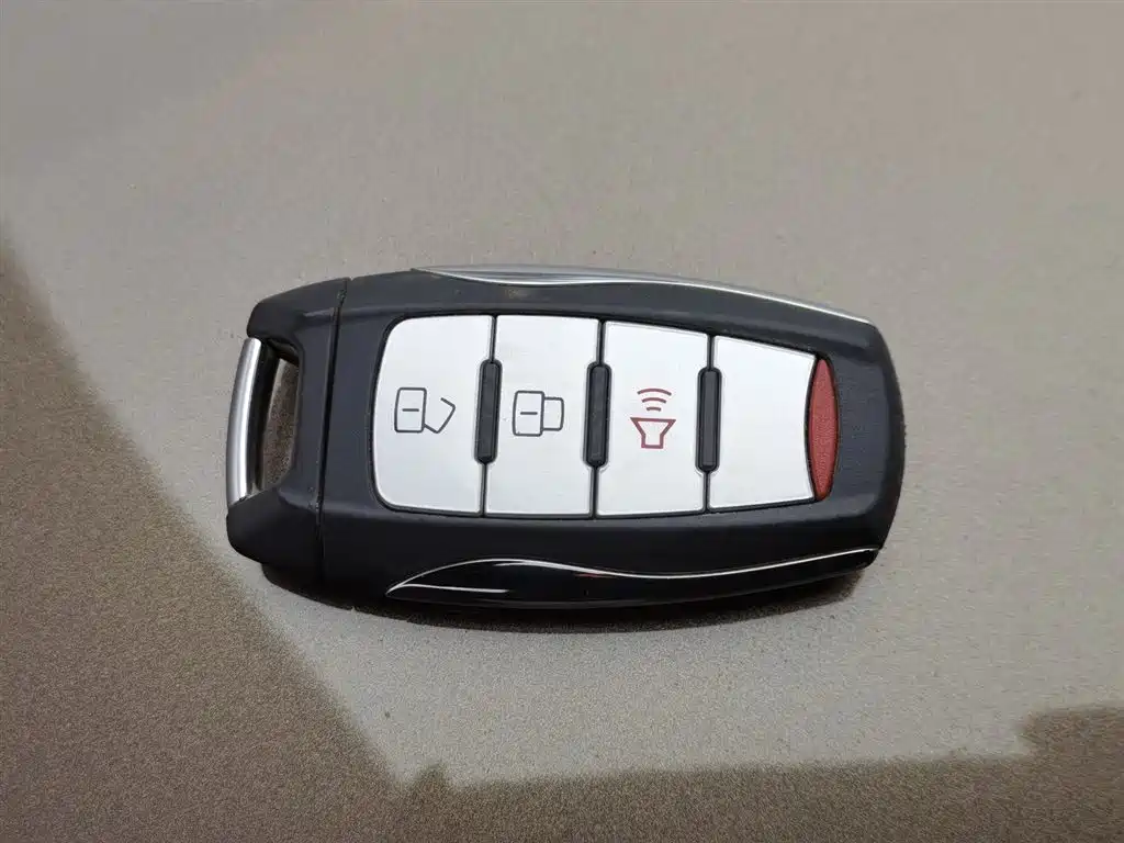 Cannon 2019 2.0T commercial version manual diesel two-wheel drive elite long box GW4D20M купить на сайте DeffCars