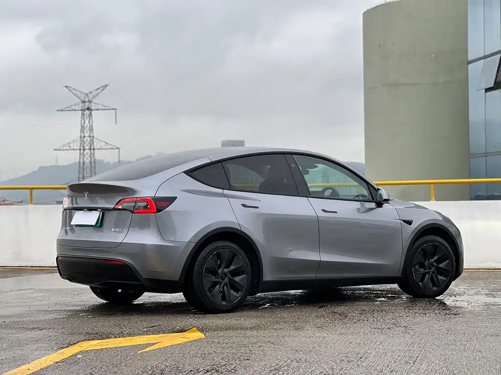 Model Y 2024 rear-wheel drive version купить на сайте DeffCars