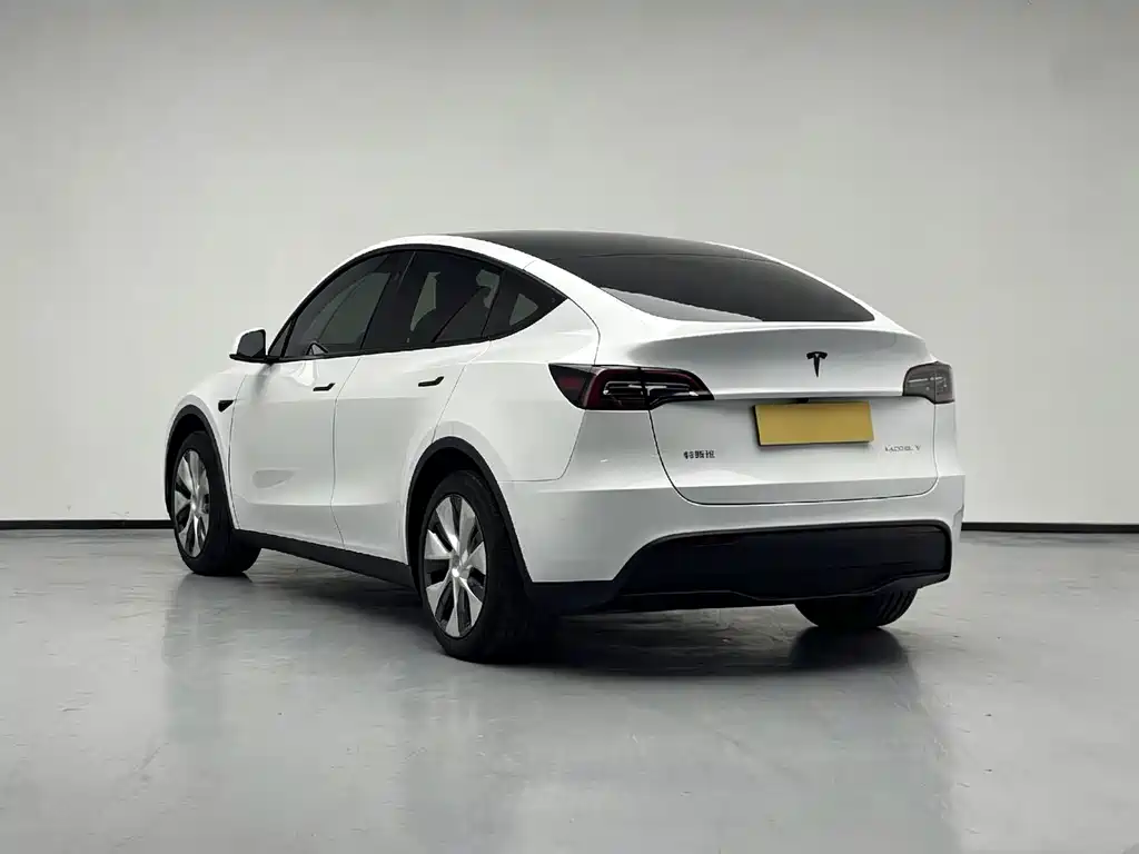Model Y 2024 rear-wheel drive version купить на сайте DeffCars