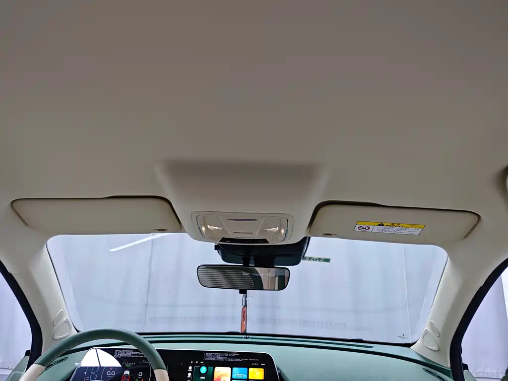 Euler Good Cat 2023 model 401km standard battery life luxury model lithium iron phosphate купить на сайте DeffCars