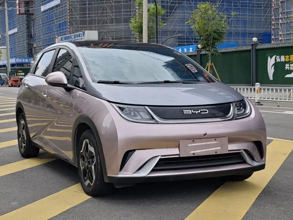 Dolphin 2021 405km fashion version купить на сайте DeffCars