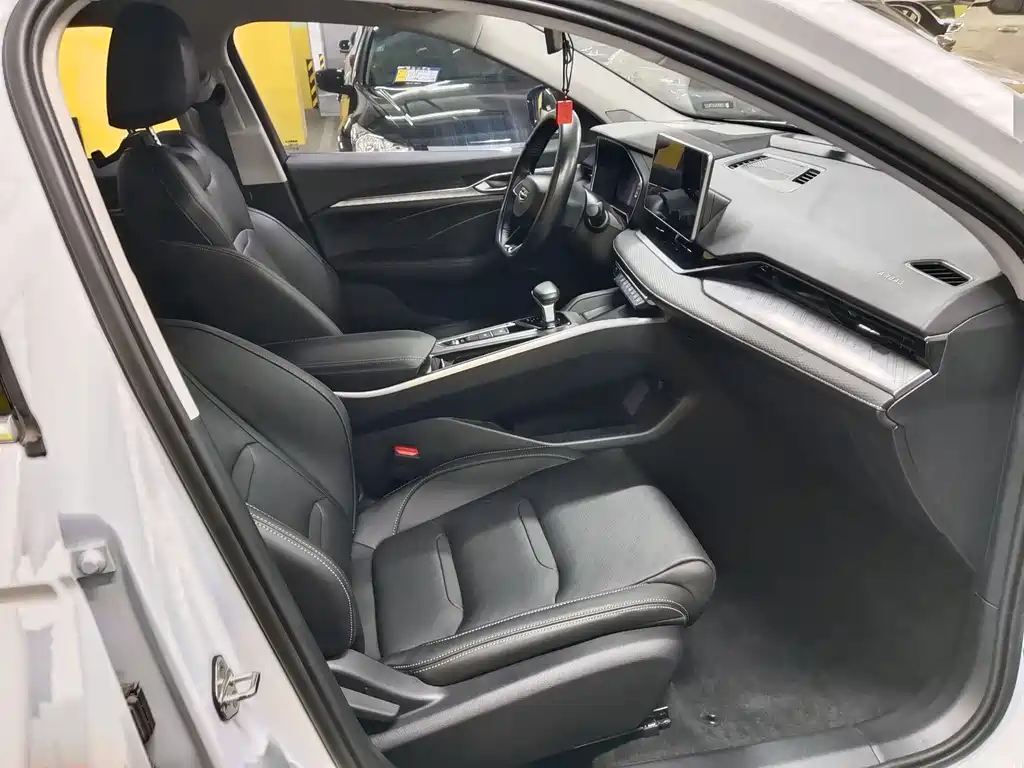 Xingrui 2021 2.0TD luxury model купить на сайте DeffCars