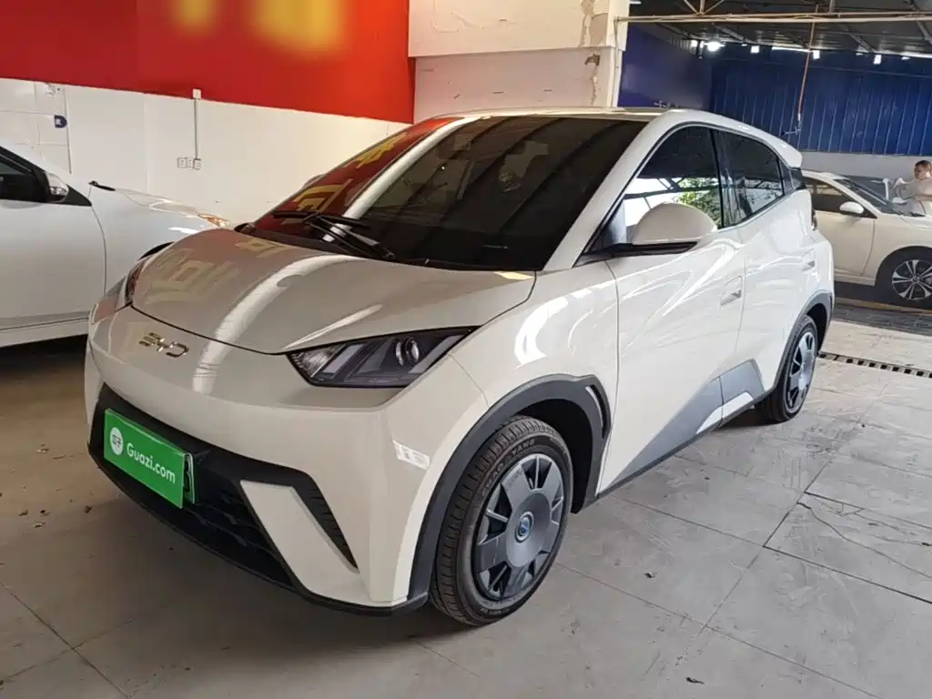 Seagull 2025 305km active version купить на сайте DeffCars