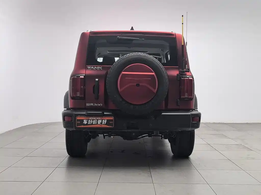 Tank 300 2023 Off-Road Version 2.0T Conqueror купить на сайте DeffCars