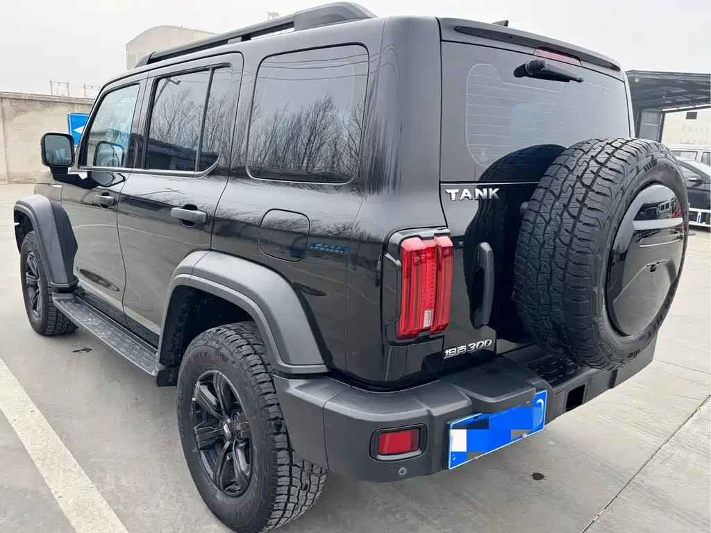 Tank 300 2021 Off-Road Version 2.0T Conqueror купить на сайте DeffCars