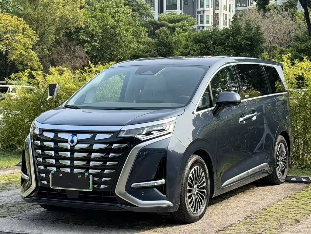 Denza D9 2022 DM-i 1040 Premium Type купить на сайте DeffCars