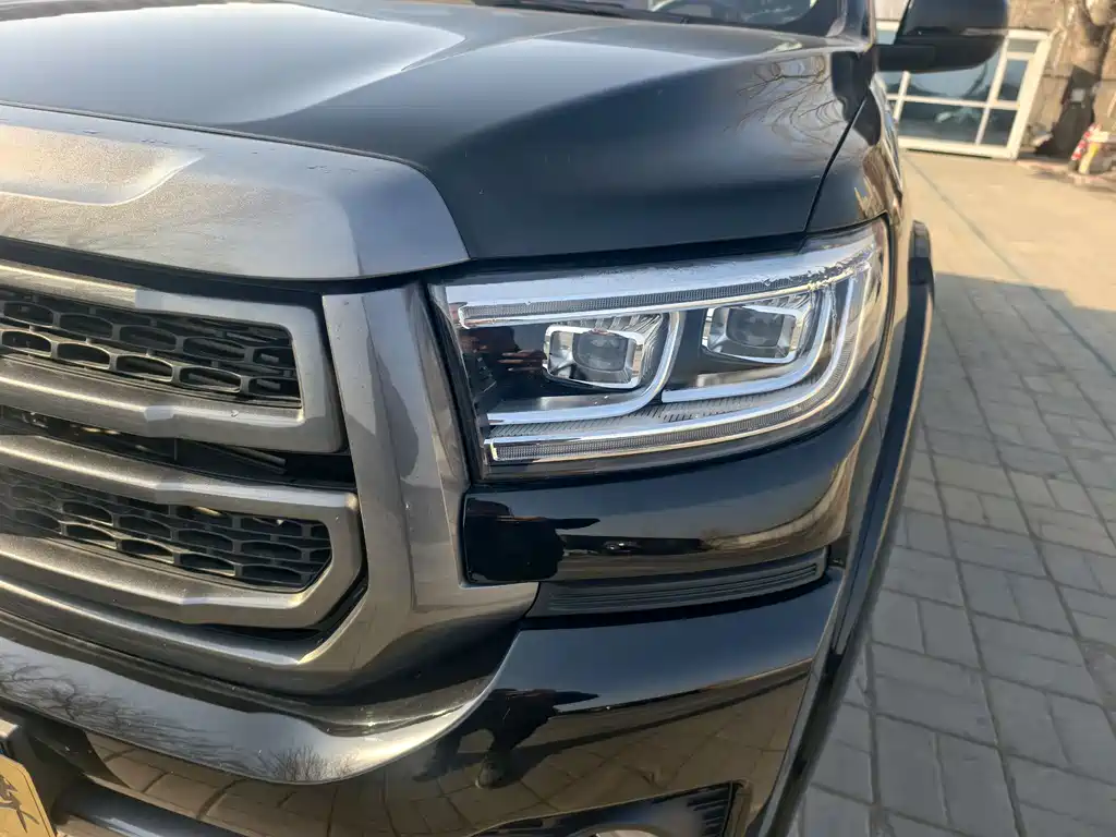 Cannon 2023 2.0T passenger version automatic gasoline four-wheel drive comfort model GW4C20B купить на сайте DeffCars